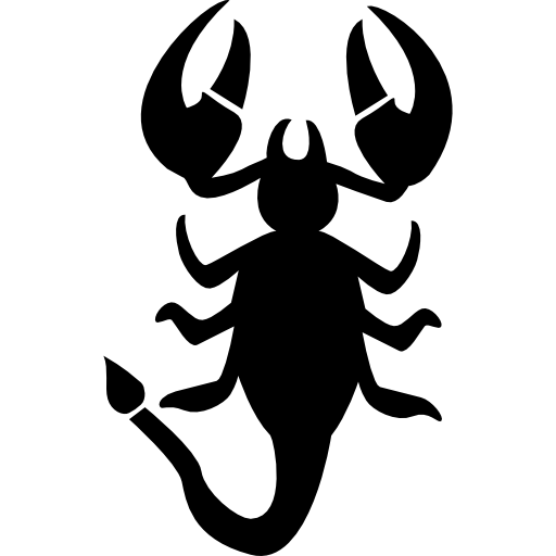 68263303ef6df1747333891.webp