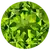 66746afd59f2c1718905597.webp